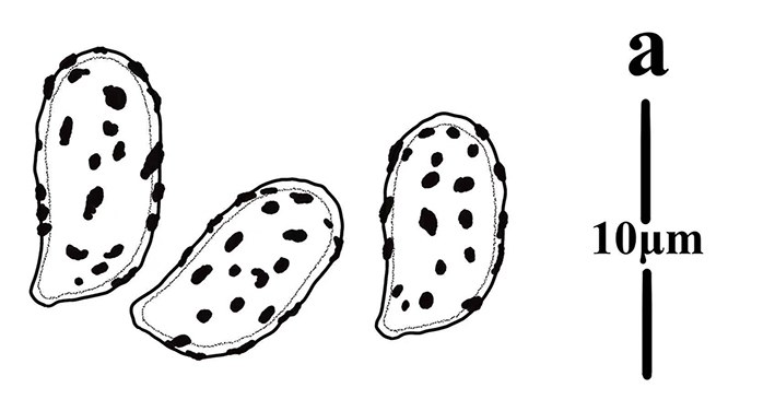 Figure 73